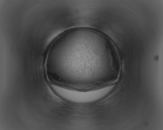 X0000091451452200708301800