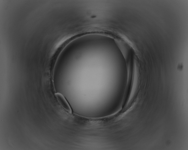 X0000091451453200708301800