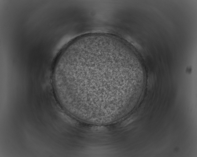 X0000091451454200708301800