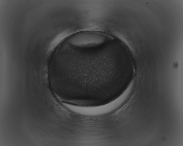 X0000091451455200708301800