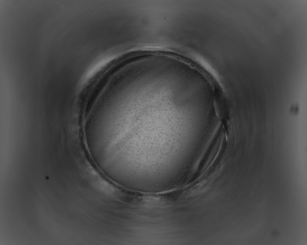 X0000091451456200708301800