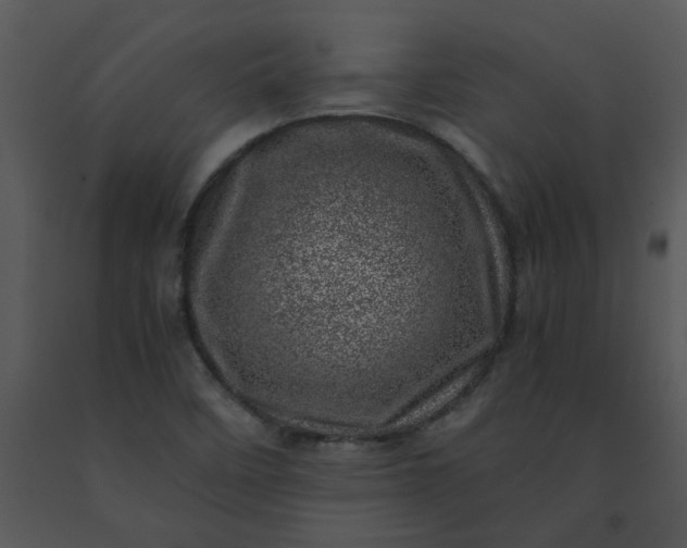 X0000091451458200708301800