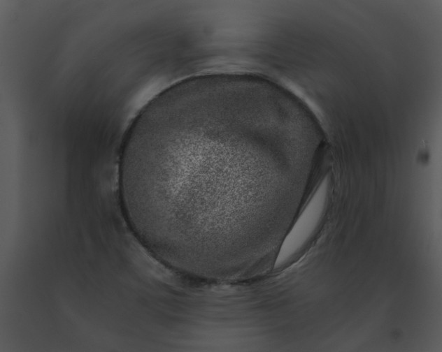 X0000091451459200708301800