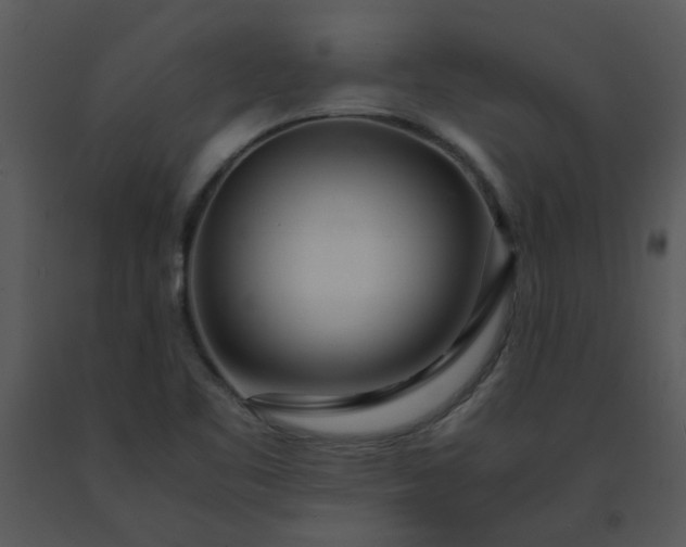 X0000091451461200708301800