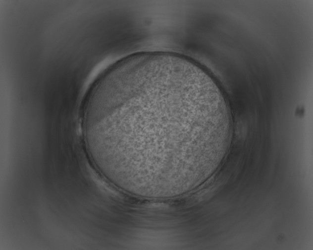X0000091451462200708301800