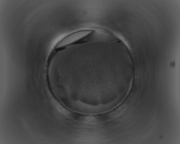 X0000091451463200708301800