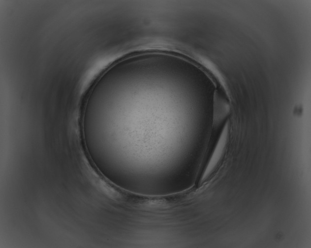X0000091451464200708301800