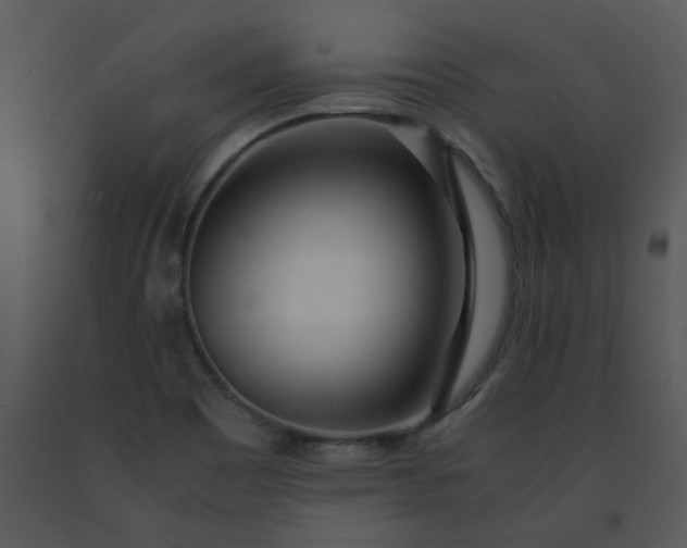 X0000091451465200708301800