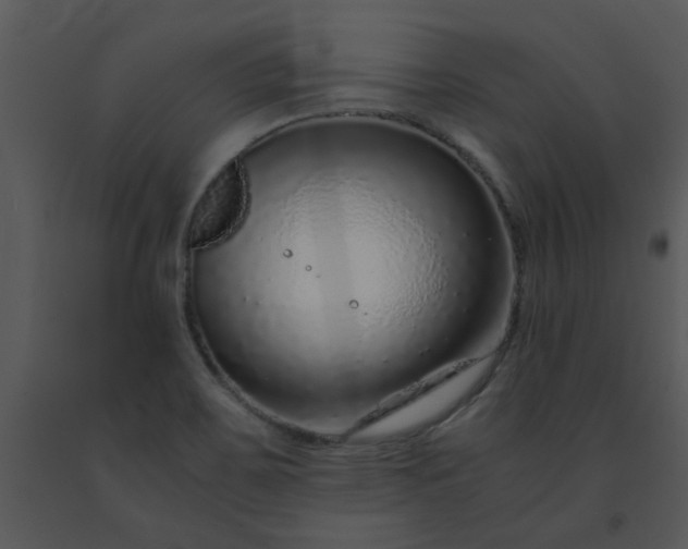 X0000091451467200708301800