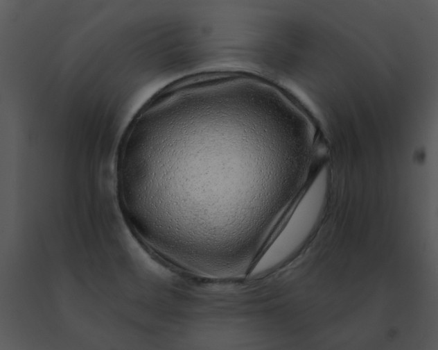 X0000091451468200708301800