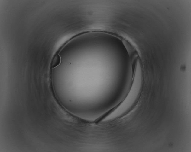 X0000091451469200708301800
