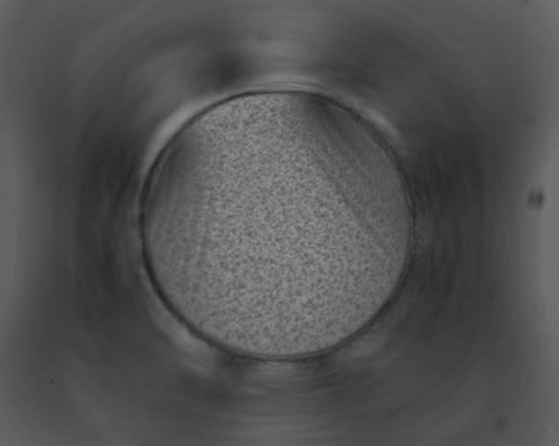 X0000091451470200708301800