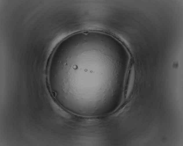 X0000091451471200708301800