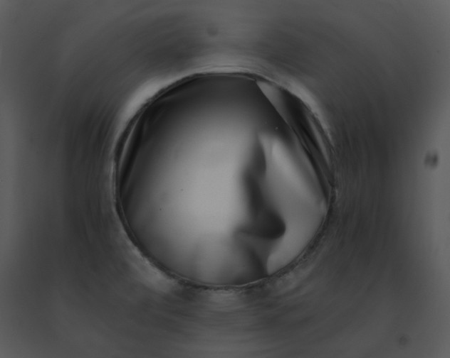 X0000091451472200708301800