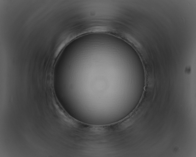 X0000091451473200708301800