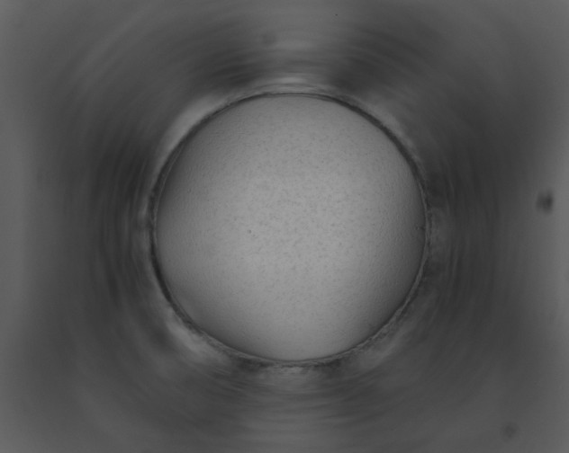 X0000091451474200708301800