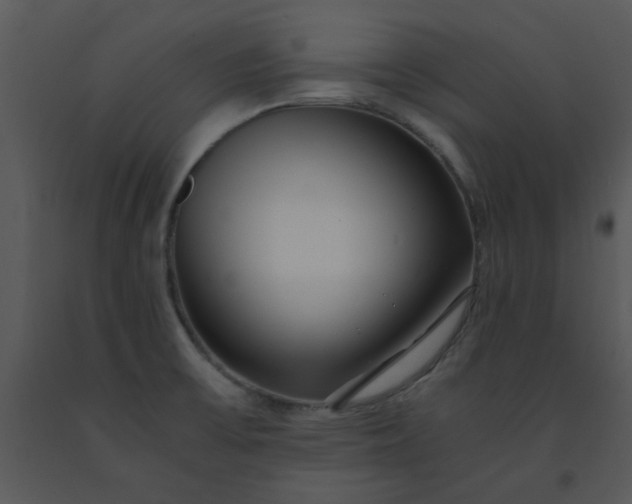X0000091451475200708301800
