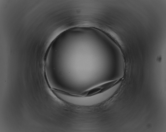 X0000091451476200708301800