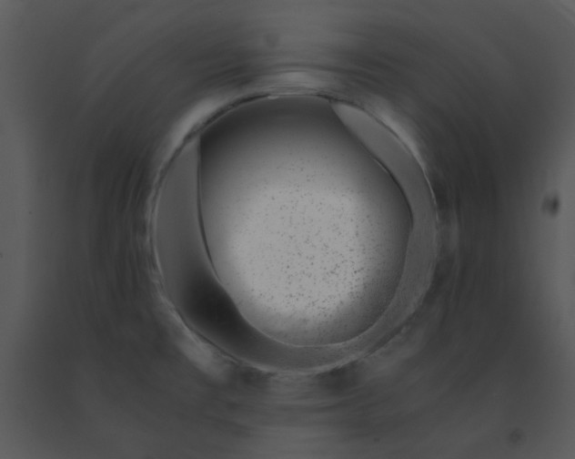 X0000091451477200708301800