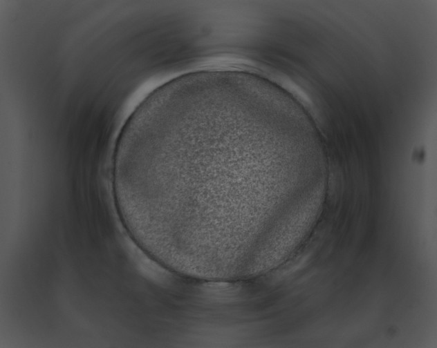 X0000091451478200708301800