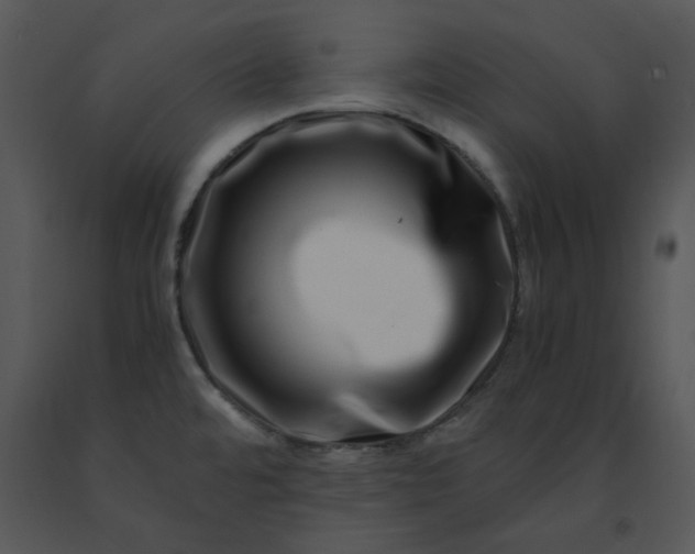 X0000091451480200708301800