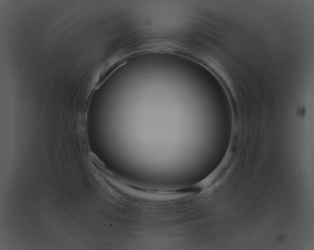 X0000091451481200708301800