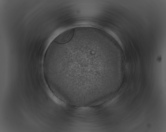 X0000091451482200708301800