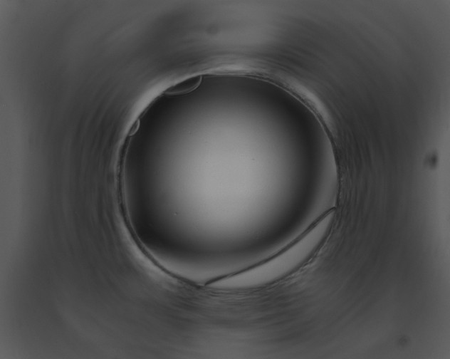 X0000091451483200708301800