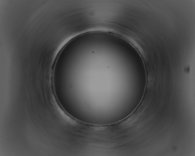 X0000091451484200708301800