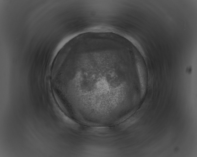 X0000091451486200708301800