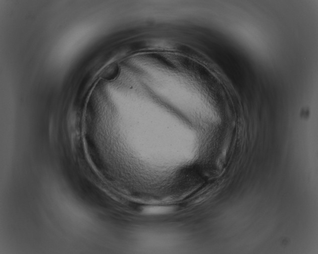 X0000091451487200708301800