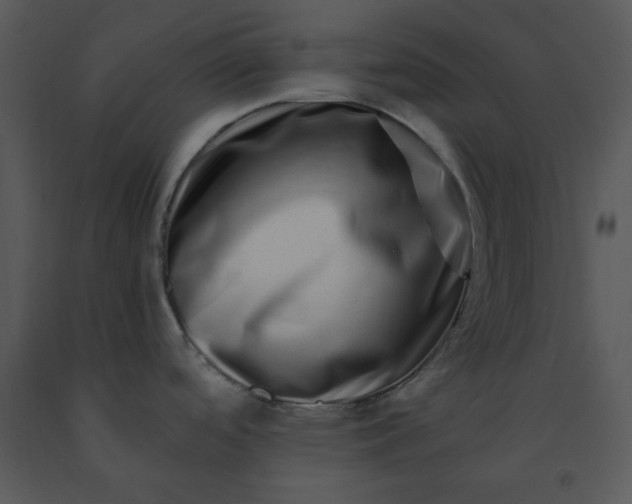 X0000091451488200708301800