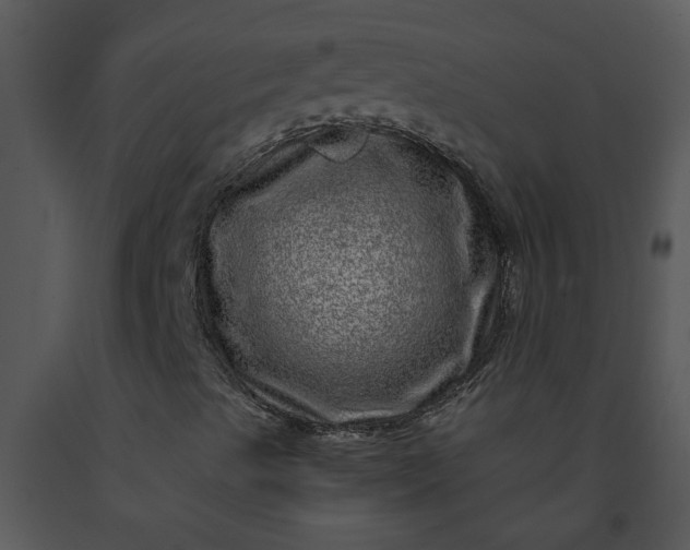 X0000091451489200708301759