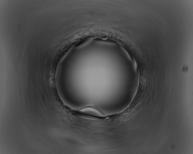 X0000091451490200708301759