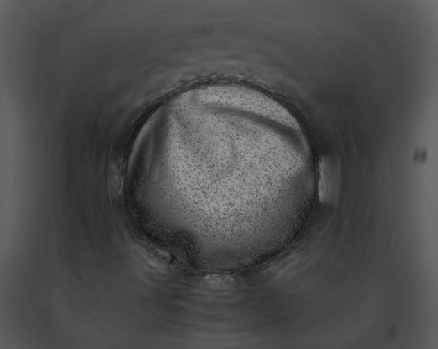 X0000091451491200708301759