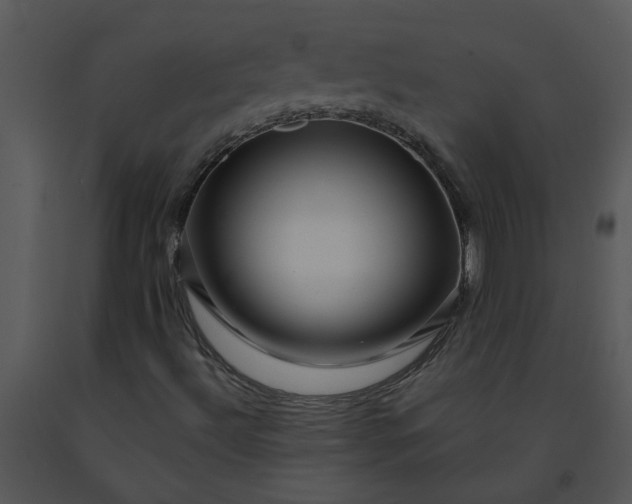 X0000091451492200708301759