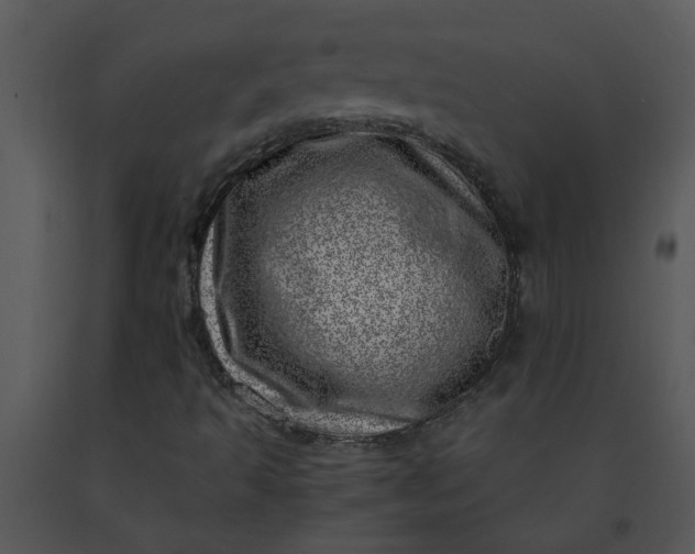 X0000091451493200708301759