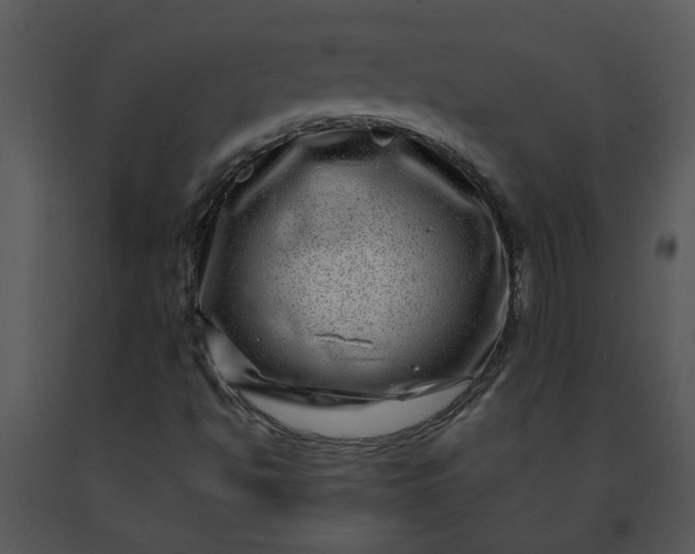 X0000091451494200708301759