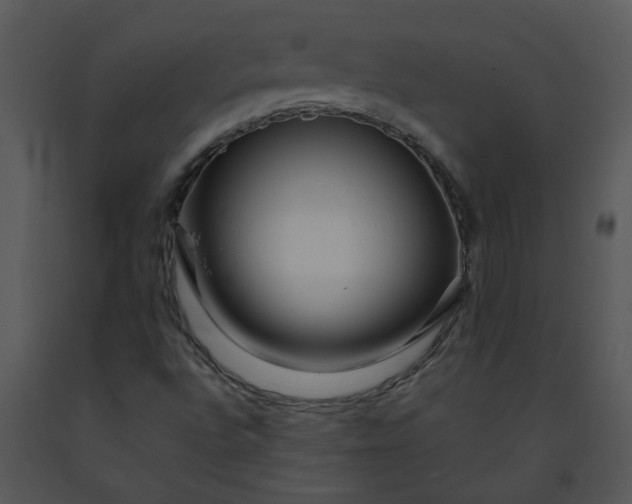 X0000091451496200708301759