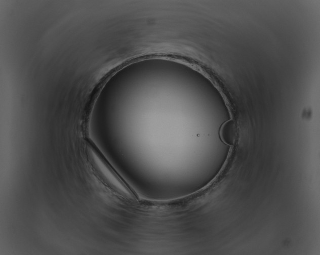 X0000091451497200708301759