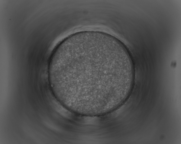 X0000091451498200708301759