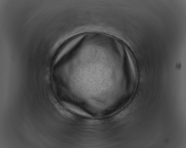 X0000091451499200708301759