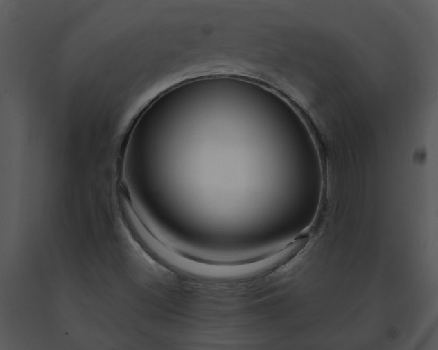 X0000091451500200708301759