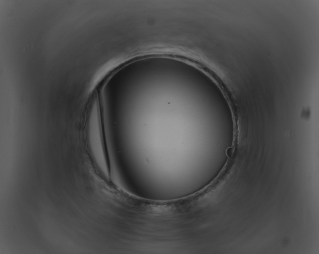 X0000091451501200708301759