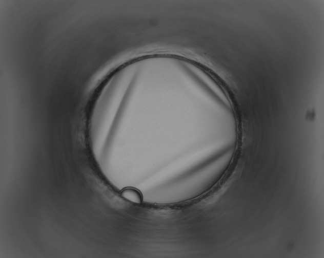 X0000091451502200708301759