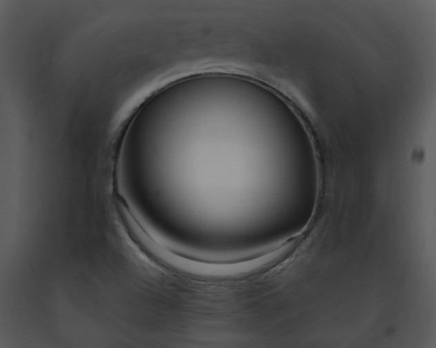 X0000091451504200708301759