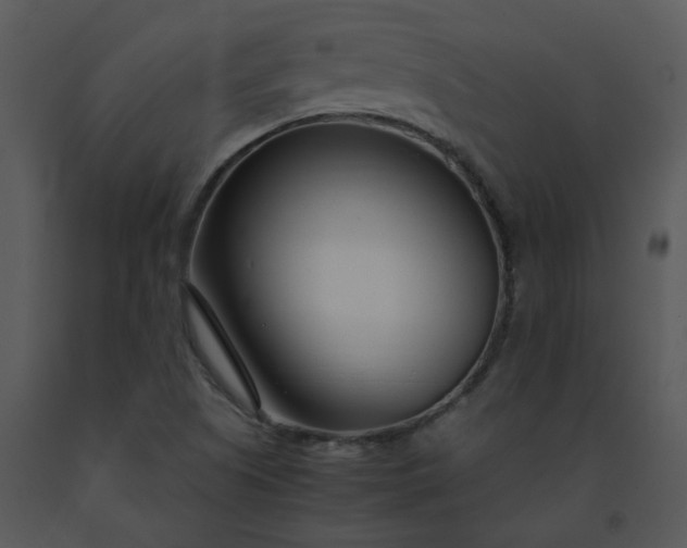 X0000091451505200708301759