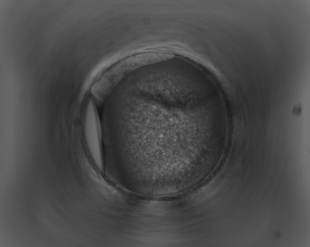X0000091451506200708301759