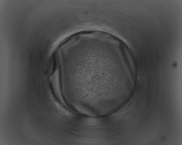 X0000091451507200708301759