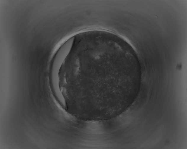X0000091451508200708301759